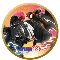vua88
